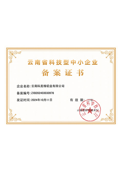 科技型中小企业备案证书